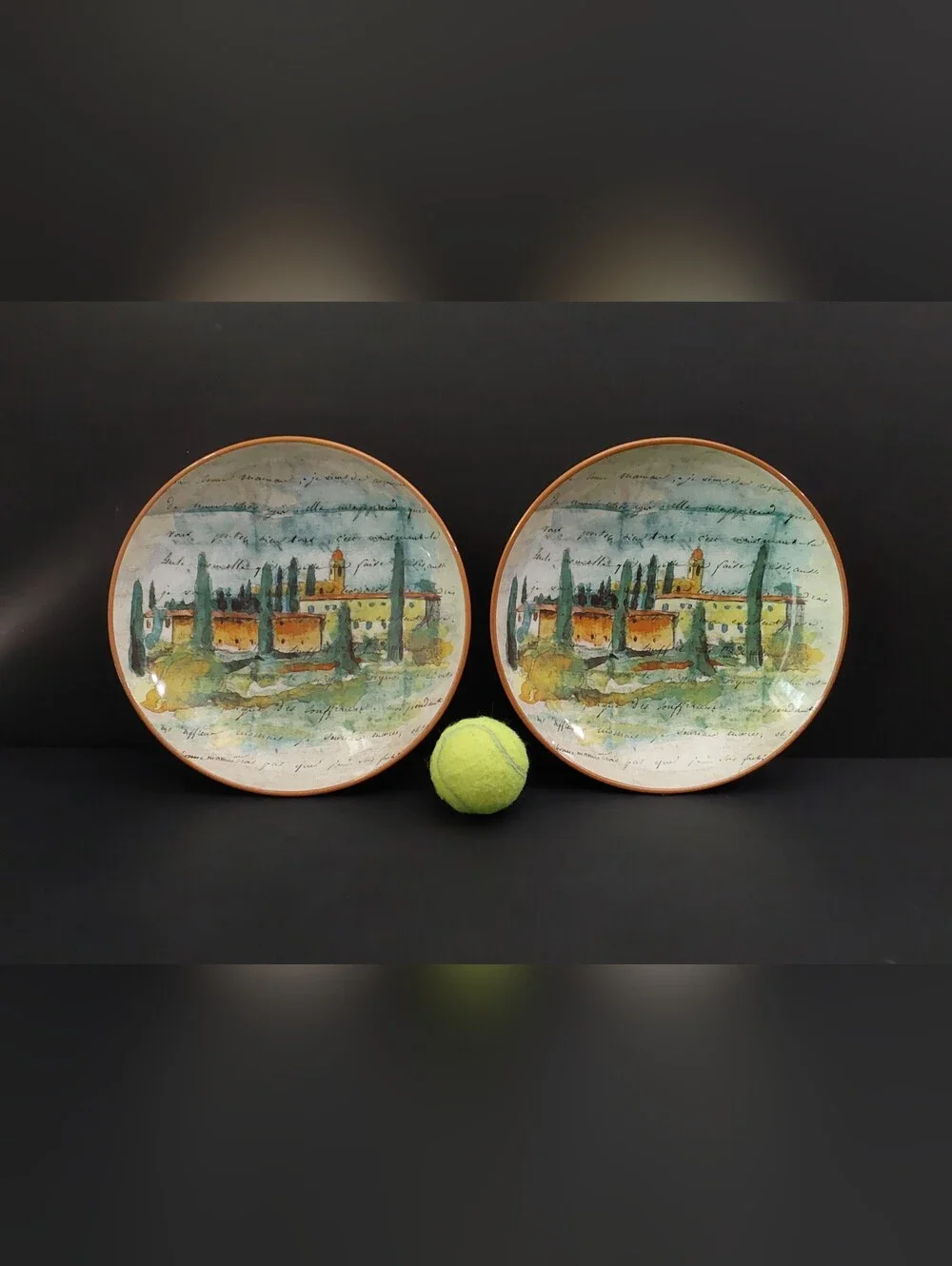 NEW Williams-Sonoma PAYSAGE SOUP/PASTA Bowls (2) 10